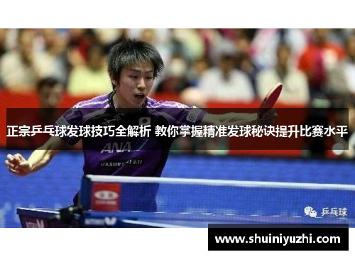 正宗乒乓球发球技巧全解析 教你掌握精准发球秘诀提升比赛水平