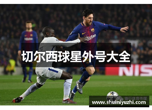 切尔西球星外号大全